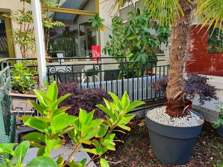 Serrières Logis Hotel Schaeffer- Restaurant Le Saint Georges מראה חיצוני תמונה