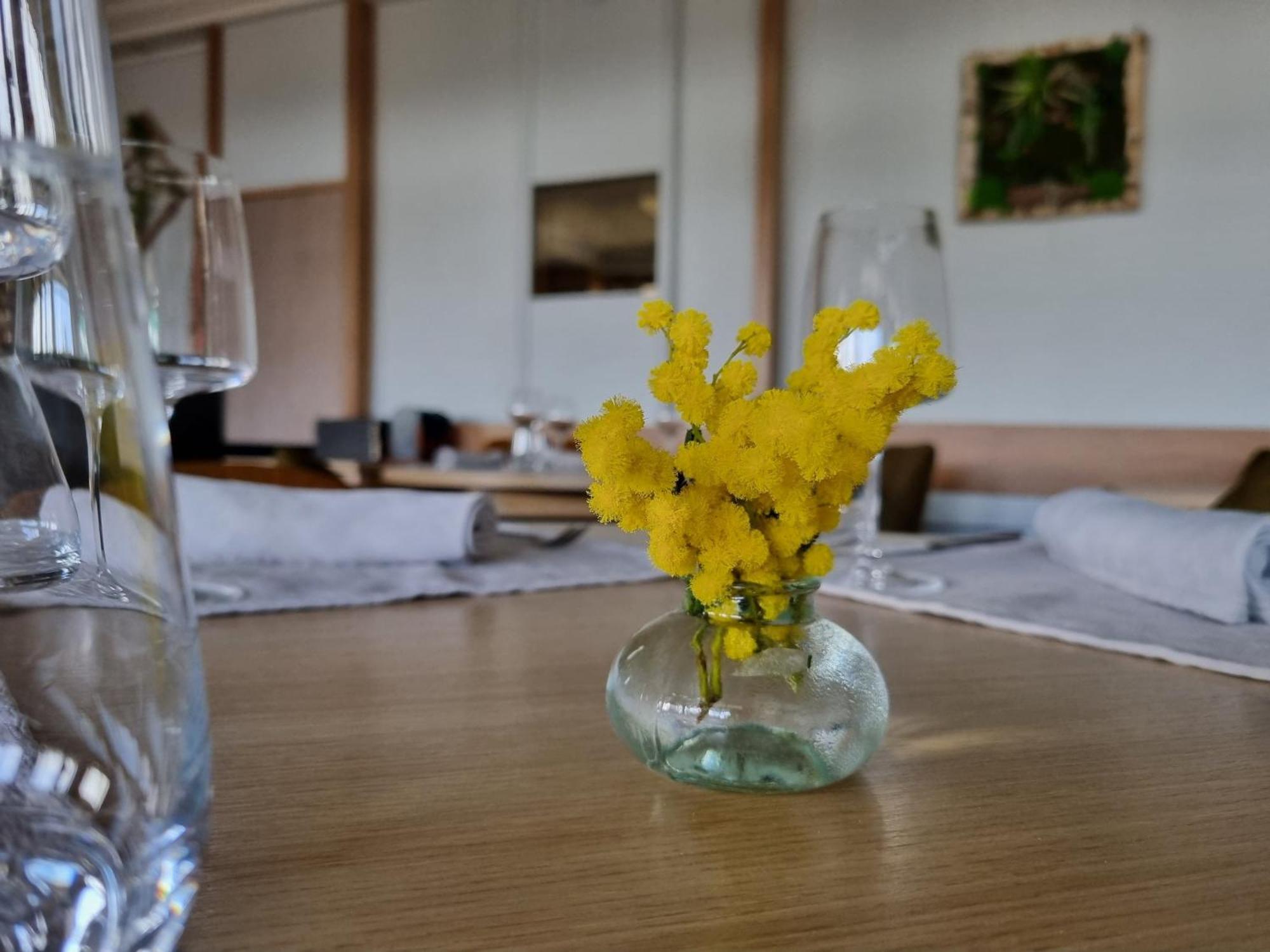 Serrières Logis Hotel Schaeffer- Restaurant Le Saint Georges מראה חיצוני תמונה